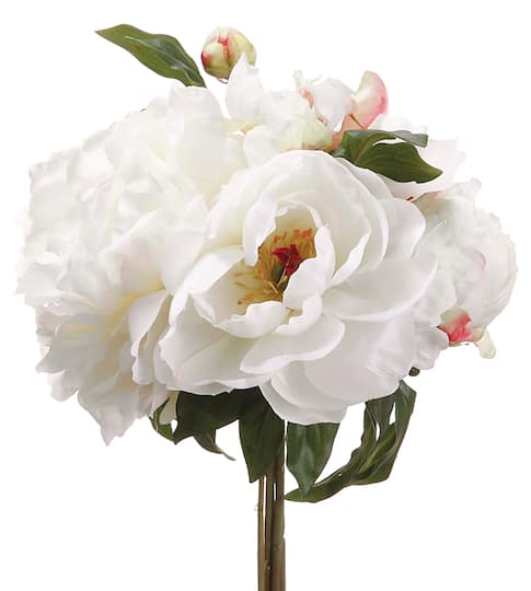 Cream Peony Bouquet